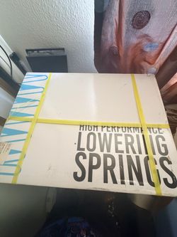 Frs lowering springs