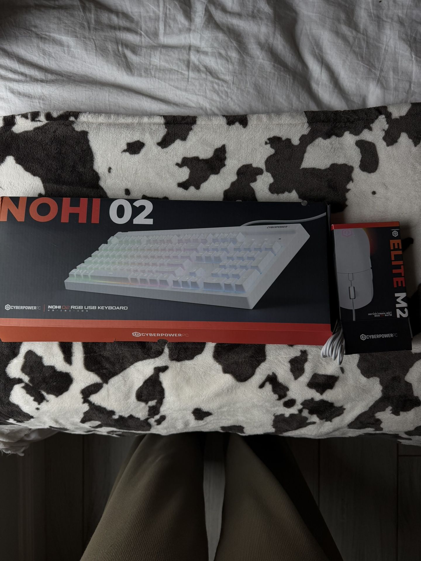Gaming keyboard + mouse