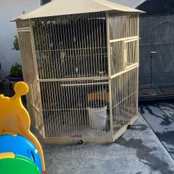 Bird Cage 
