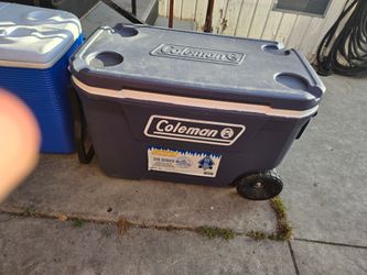 Ice cooler