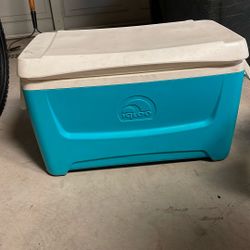 $10 Ice Chest 