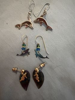 Earrings