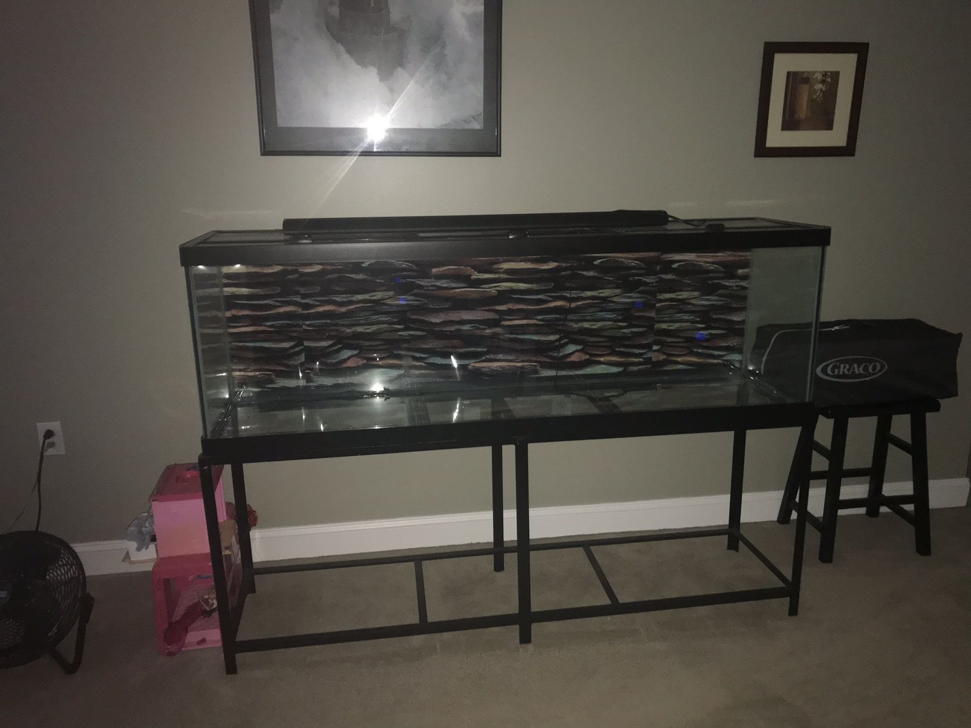 125 gallon tank with stand