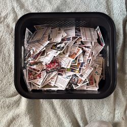 Baseball Cards 
