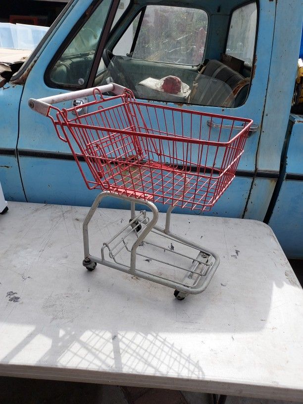 Little Kids Shopping Cart