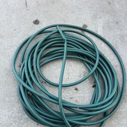 Two 100 Foot Water Hoses