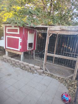 Chicken coop