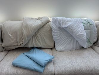 Dorm Room Bedding Set – XL Twin – $30