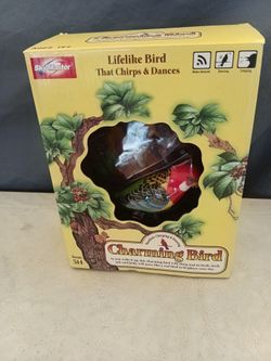 Charming Chirping Bird
