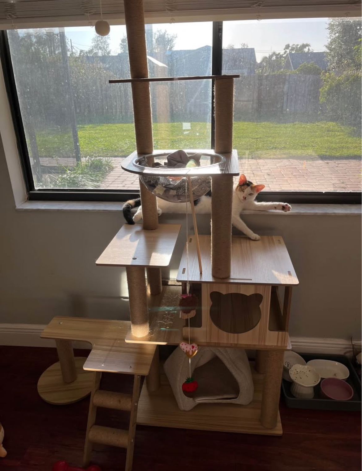 65" Tall Cat Tree