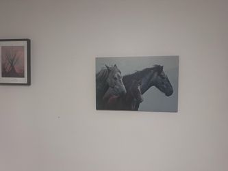 Horse canvas