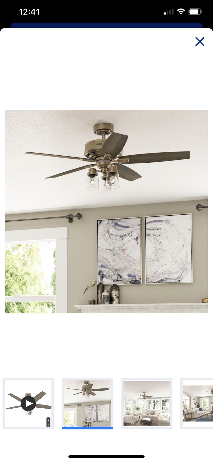 Indoor Ceiling Fan