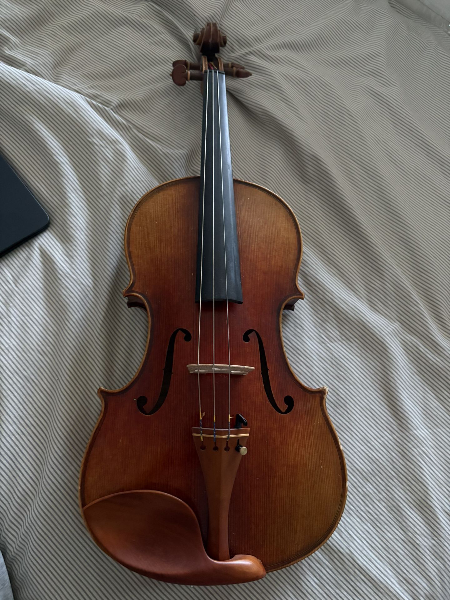 Viola 15 West Coast String Instruments- Sandro Luciano