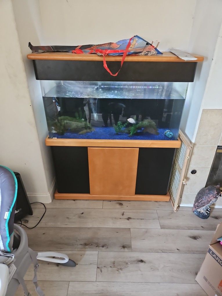 Fish Tank