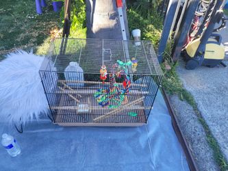 Bird cage