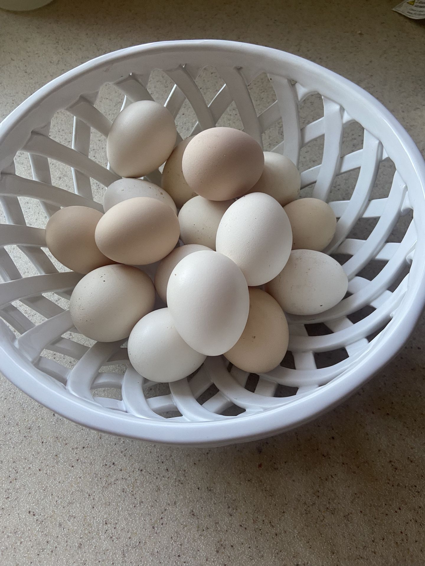 Eggs 