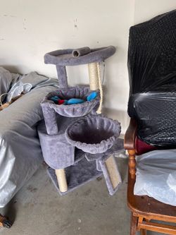 Cat cattree