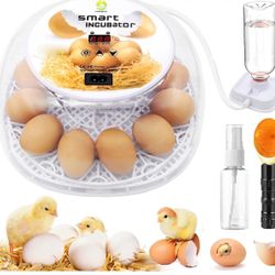 12 Eggs Incubator for Hatching Eggs- white