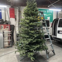 Christmas Tree 12 Feet