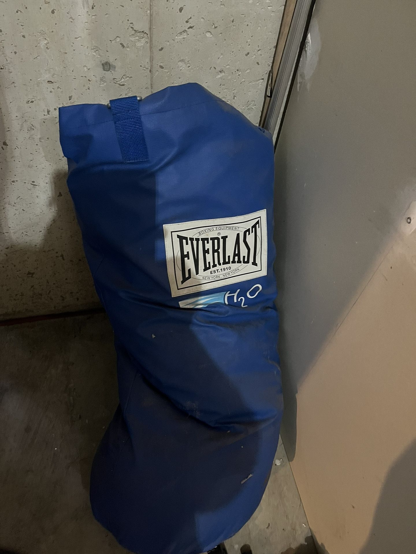 Everlast Punching Boxing bag/ Equipment