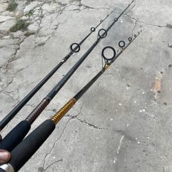 3 Fishing Rods Ugly Sticks 100$ 
