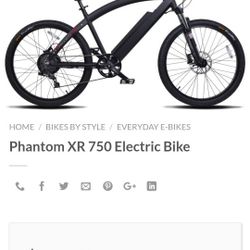 Electric Bike