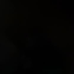 Rehoming Golden Doddle’s 