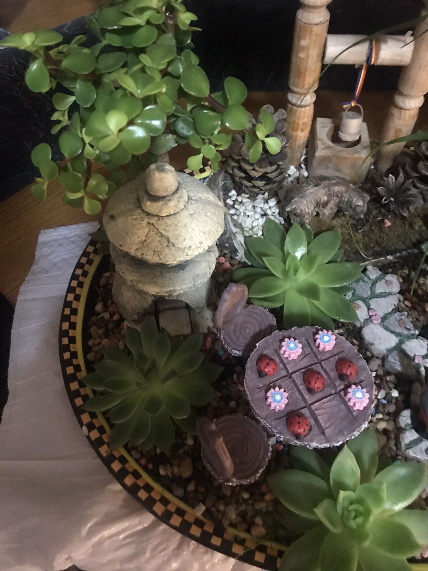 succulents