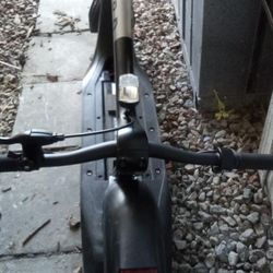 Bird electric scooter