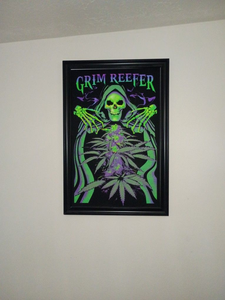 Black Light Pictures