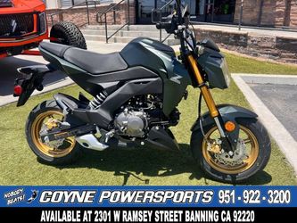 2025 Kawasaki Z125 Pro