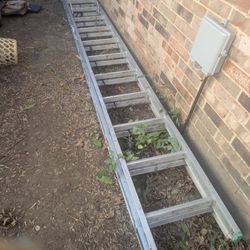 Werner 22ft Ladder