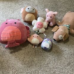Stuffed Animals 