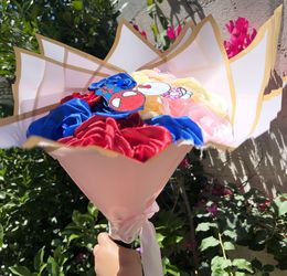 Hello Kitty Spider Man Ramo Buchon