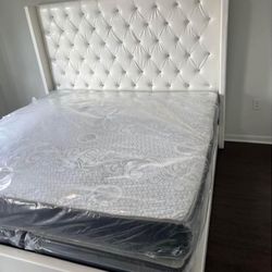 Bed Frame White Queen Size New (Mattress Sale For Separated )