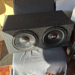 12inch Subwoofers