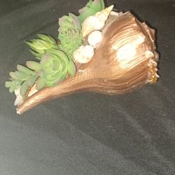 Succulent (Artificial) In Conch Shell 