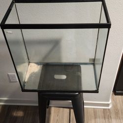 20g Tall Fish Tank