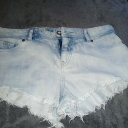Woman Shorts Size 11