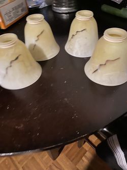 Celling Fan Light Cups