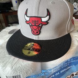 Bull Fitted 