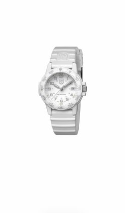 Luminox Swiss Made Leatherback Sea Turtle