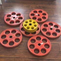 Ivanko Weights Plates Home gym Exercise 