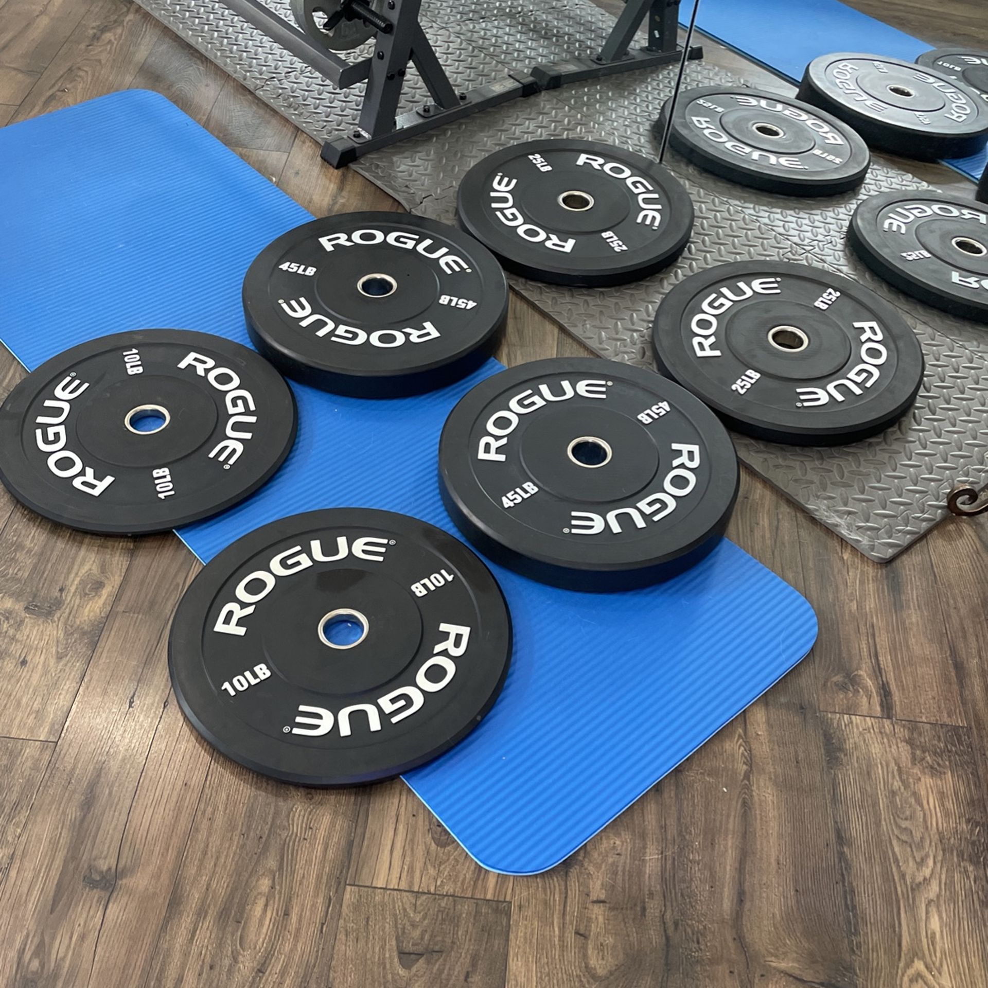 Rogue 160 lb bumper plates hotsell