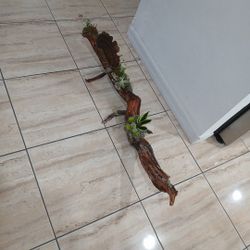 Artesania  Wood Lizard