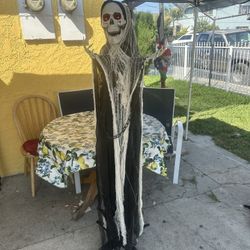 Halloween Skeleton Prop