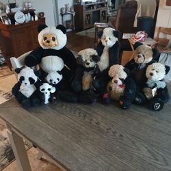 Panda Bear COLLECTION 