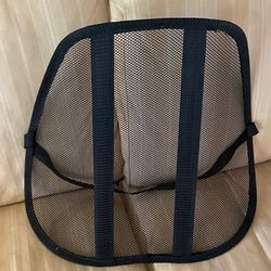 Mesh back brace