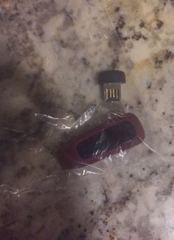 Fit Bit activity monitor