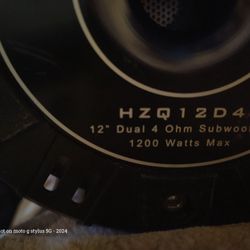 Hypnotic 12  Inch Speaker